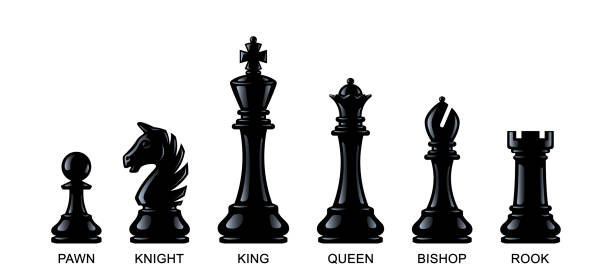 illustrazioni stock, clip art, cartoni animati e icone di tendenza di pezzi di scacchi isolati su uno sfondo bianco. illustrazione vettoriale, eps 10 - black hobbies chess knight chess