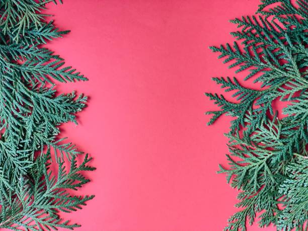 istock Christmas decorations layout or flatlay with fir branches and on red background.Eco natural frame. winter, new year Holidays concept as top view, copyspace. greeting card template 1289166581