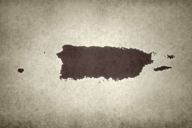 istock Grunge map of Puerto Rico 1289167255