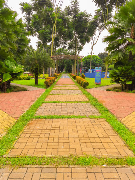 istock The path in Heulang Park, Bogor City 1289167597