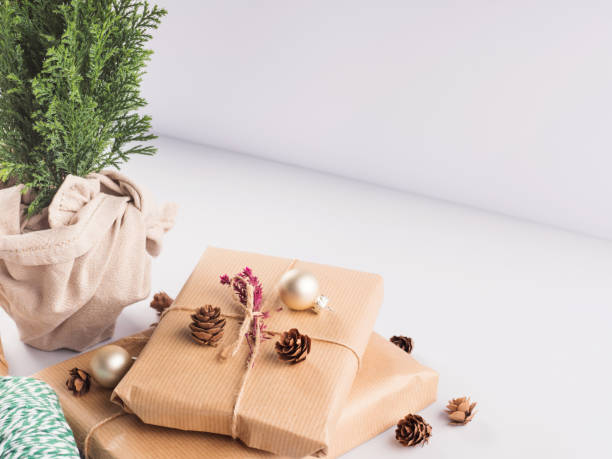 istock Xmas wrapped gifts stack and tree plant as gift 1289167612