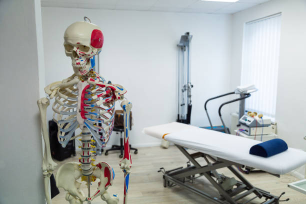 istock Medical cabinet for physiotherapywith massage couch and skeleton 1289167657