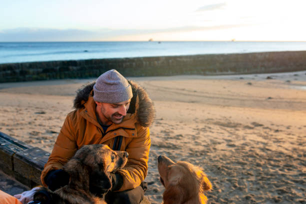 Man sitting with his pet dogs at the beach early in the morning in autumn, wrapped up warm.