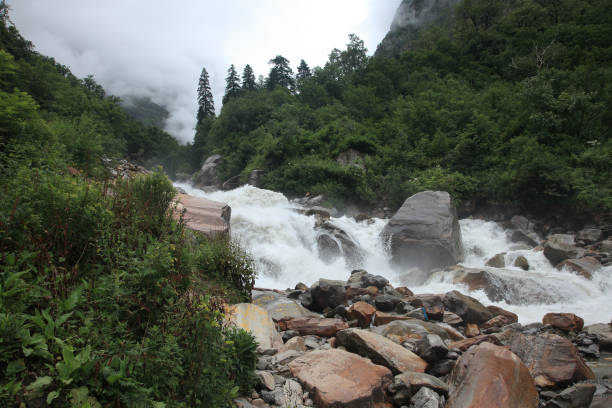 a água flui através do leito do rio lakshman ganga, um afluente a montante do rio ganges no himalaia, índia - ghangaria - fotografias e filmes do acervo