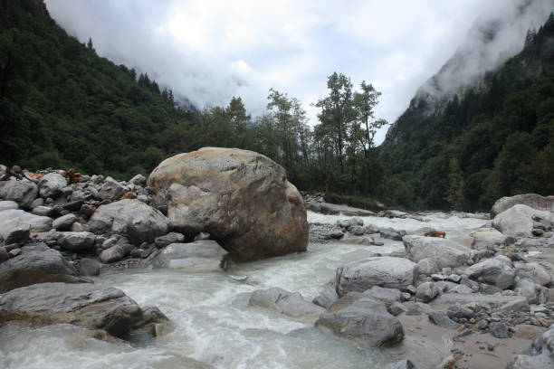 l'acqua scorre attraverso il letto del fiume lakshman ganga, un affluente a monte del fiume gange nell'himalaya, india - ghangaria foto e immagini stock