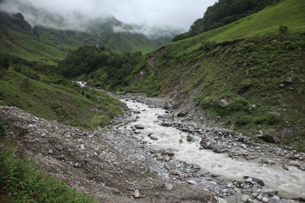 l'acqua scorre attraverso il letto del fiume lakshman ganga, un affluente a monte del fiume gange nell'himalaya, india - ghangaria foto e immagini stock