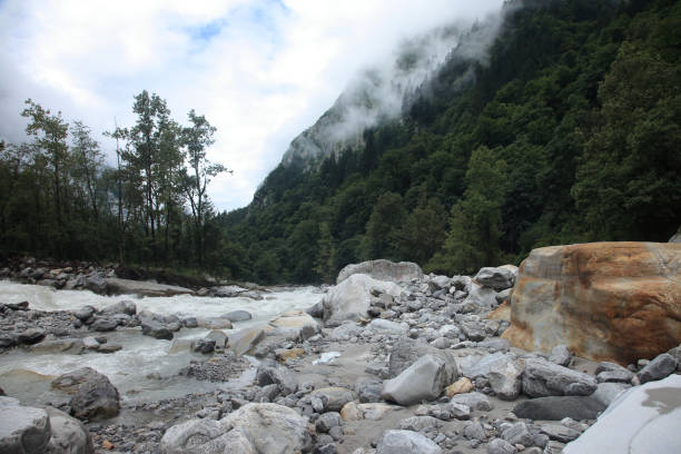 a água flui através do leito do rio lakshman ganga, um afluente a montante do rio ganges no himalaia, índia - ghangaria - fotografias e filmes do acervo