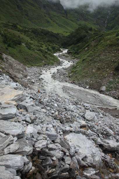 l'acqua scorre attraverso il letto del fiume lakshman ganga, un affluente a monte del fiume gange nell'himalaya, india - ghangaria foto e immagini stock