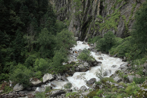 l'acqua scorre attraverso il letto del fiume lakshman ganga, un affluente a monte del fiume gange nell'himalaya, india - ghangaria foto e immagini stock