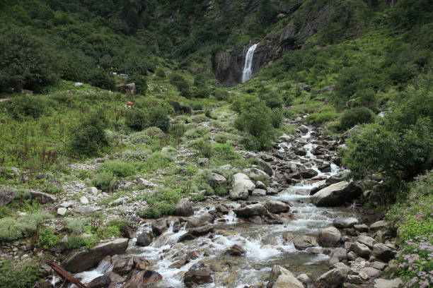 l'acqua scorre attraverso il letto del fiume lakshman ganga, un affluente a monte del fiume gange nell'himalaya, india - ghangaria foto e immagini stock