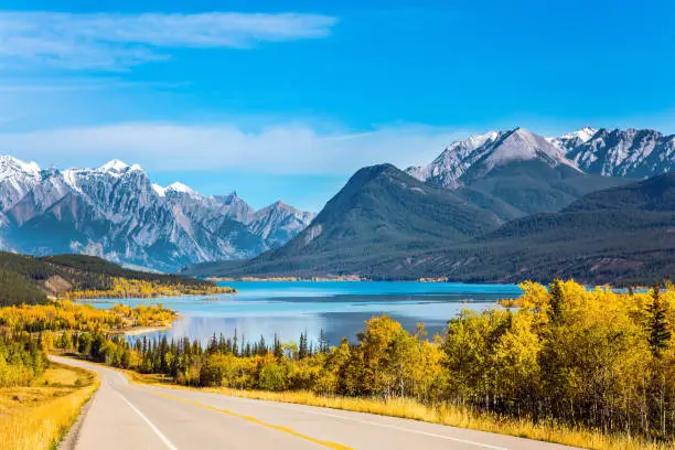 The first snow has already fallen on the peaks of Canadian Rockies. Magnificent Indian summer in the Canadian Rockies. Asphalt highway leads to Abraham Lake.