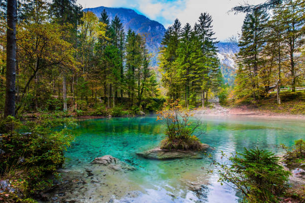 istock Light fog rises above the water 1289173102