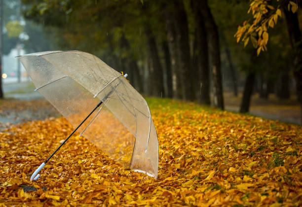 istock Late fall. Rain. Umbrella on the yellow autumn foliage. 1289173388