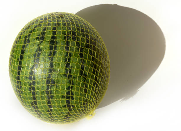 istock Yellow ripe whole watermelon for watermelon diet 1289173704