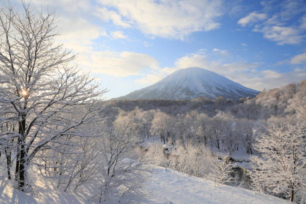 istock Trees painted silver with snow, the sun and Mount Yotei 1289175135