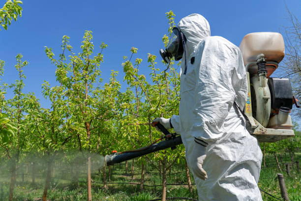 istock Fruit Grower in Personal Protective Equipment Spraying Fruit Orchard 1289176636
