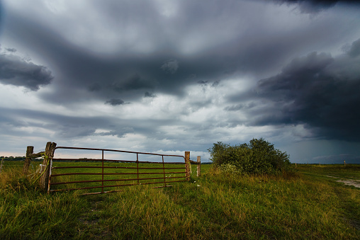 Storm clouds over the pasture