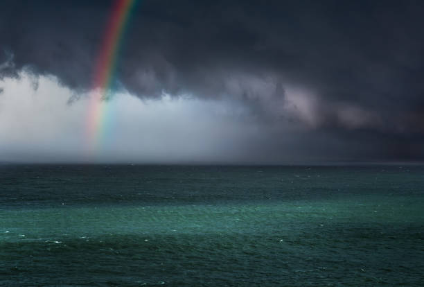 Aerial view of rainbow over sea and forest on a coastline