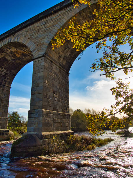 istock River Wharfe flowing beneath Victorian viaduct, Arthington, West Yorkshire, England, Britain 1289183511