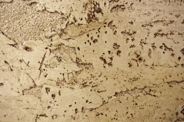 istock The texture of a cork tree. Empty yellow surface with cracks. Abstract background close-up. 1289185354