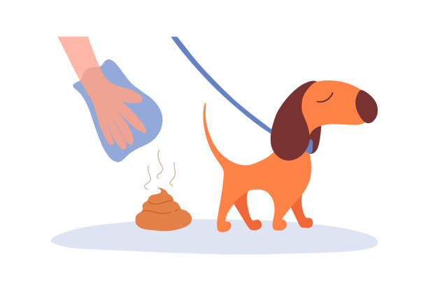 ładny znak z kreskówki lub stół, banner kolorowe ilustracji wektora. ręka podnosi kupę psa za pomocą plastikowej torby. - dog park retrieving humor stock illustrations