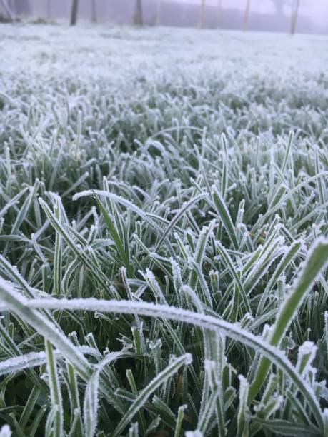 istock Frosty morning misty morning 1289188702