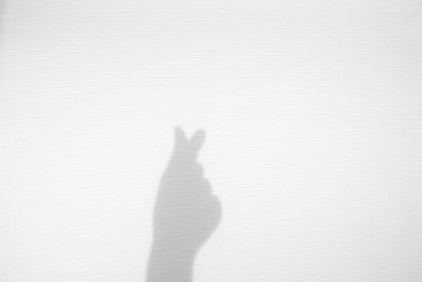 istock Realistic hand do as a symbol love shape in mini heart shadow overlay effect on white texture background, valentines day and love concept 1289189009