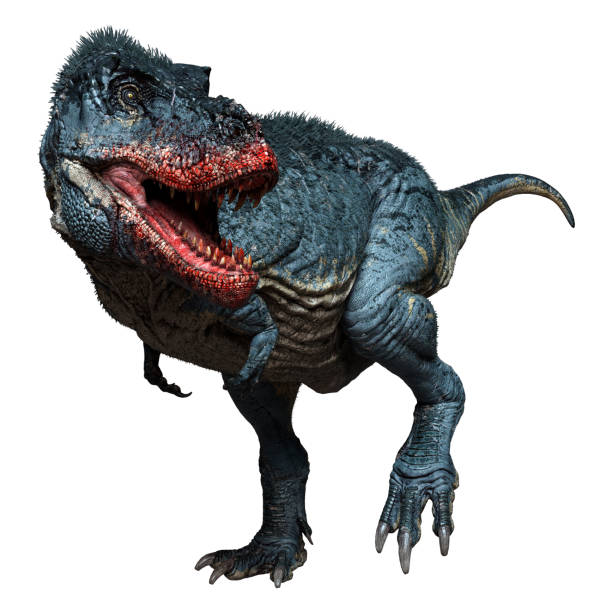 istock 3D illustration dinosaur Tyrannosaurus Rex on white 1289190182