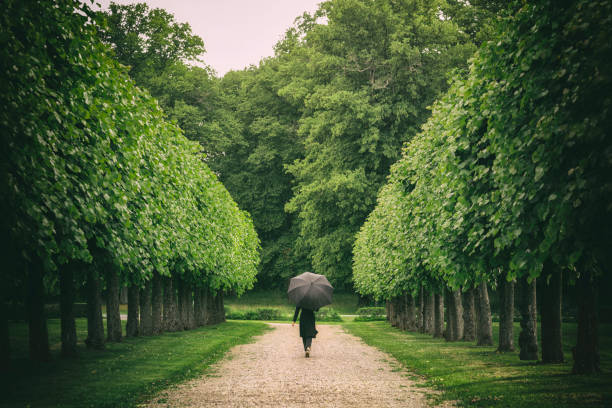 istock On a walk through the park in the rain 1289191246