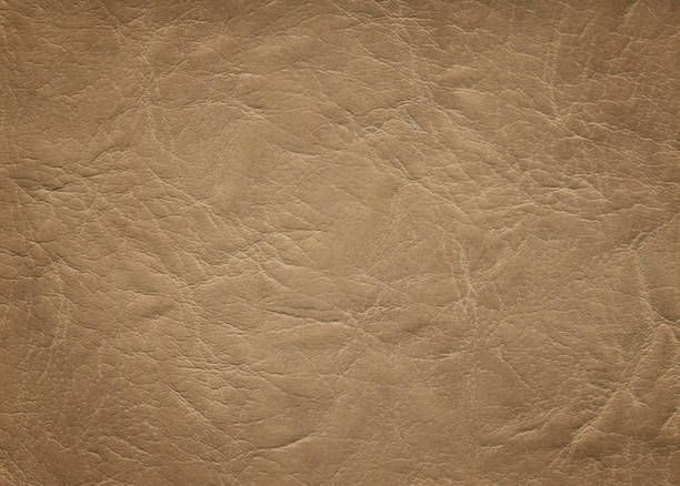 istock An image of a nice leather background. Cowhide texture. 1289191248