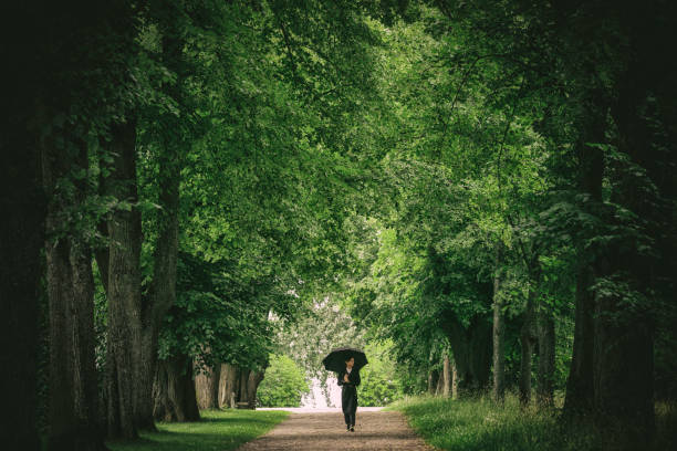 istock On a promenade through the forest 1289191290