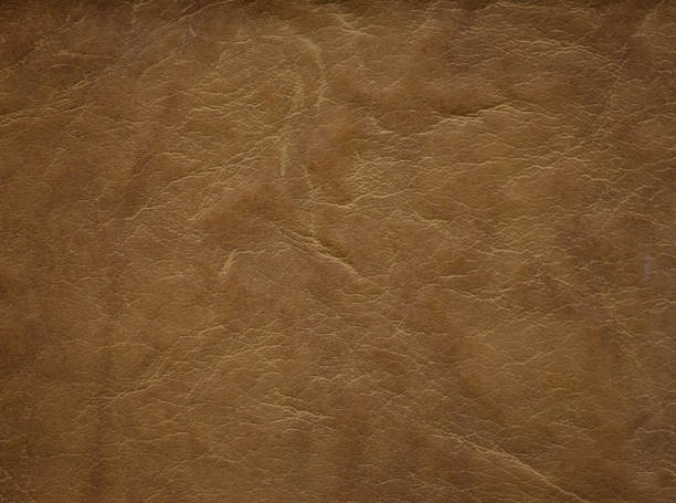 istock An image of a nice leather background. Cowhide texture. 1289192614