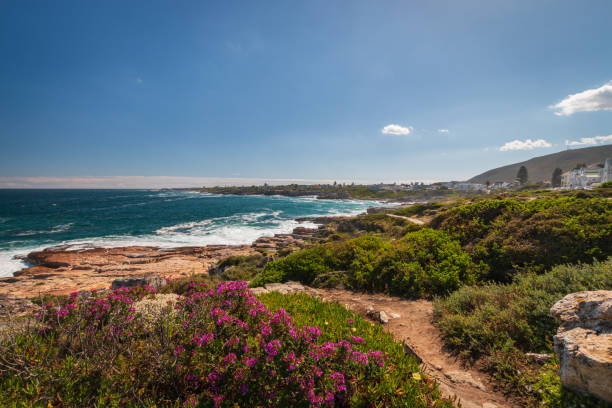 Scenic view of Hermanus and Walker Bay near Cape Town, South Africa Scenic view of Hermanus and Walker Bay from cliff path near Cape Town, South Africa against blue sky with clouds hermanus stock pictures, royalty-free photos & images
