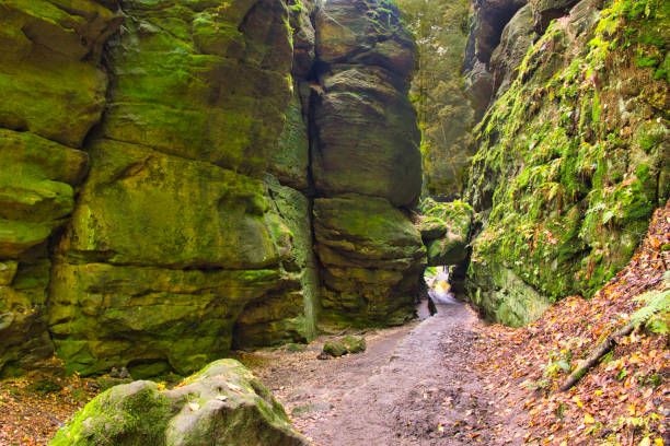 istock Saxon Switzerland is a unique natural wonder in 1289194739