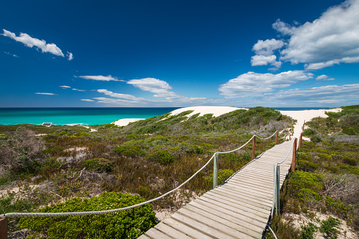 Scenic view of wooden footpath walkway leading to through fynbos vegetation to beautiful sand dunes at beautiful De Hoop nature reserve at Indian Ocean coast, South Africa against sky