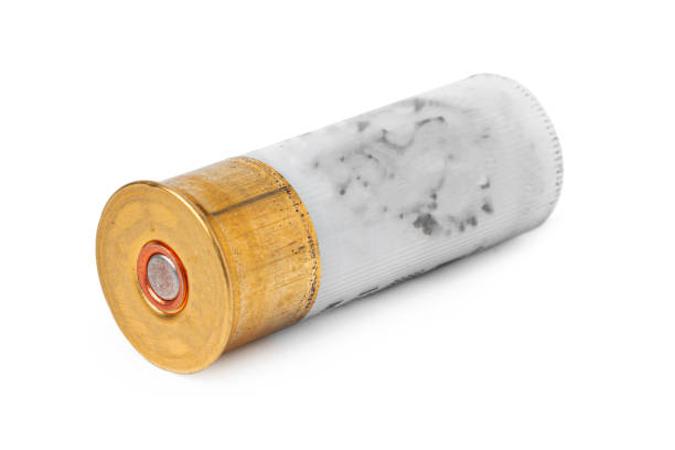 Free Stock Photo of Shotgun shells isolated on white | Download Free ...