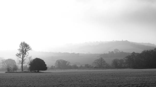 istock black and white image of trees against rolling hills 1289199245