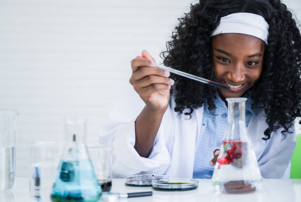 아프리카계 미국인 아동 소녀 학생이 비커의 다채로운 액체로 과학 화학 물질을 배우고 테스트합니다. - science child african ethnicity elementary student 뉴스 사진 이미지