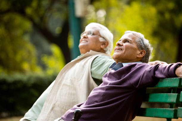 istock Two senior men admiring view at park 1289205397