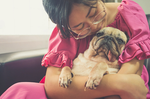 Beautiful young asian woman sitting on a sofa kissing and cuddling a cute pug dog.Young woman playing with her dog at home