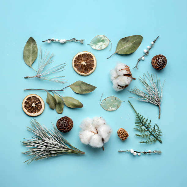 istock Creative Christmas layout made with fir, cotton and dried lemon on bright blue light background 1289209397