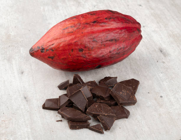 istock Red cocoa and some dark chocolate pieces 1289212330