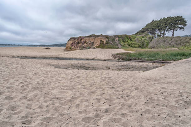 istock Half Moon Bay Beach with Cliffs and Sea Gulls 1289214188