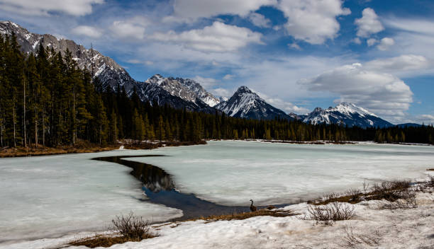 istock Water showing through Upper Lake. Peter Lougheed Provincial Park,  Alberta, Canada 1289216956