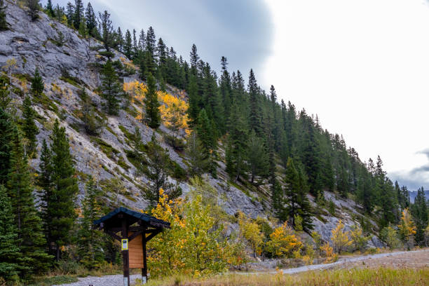 istock Fall colours at Wasootch Creek. Bow Valley Wilderness Area, Alberta, Canada 1289217338
