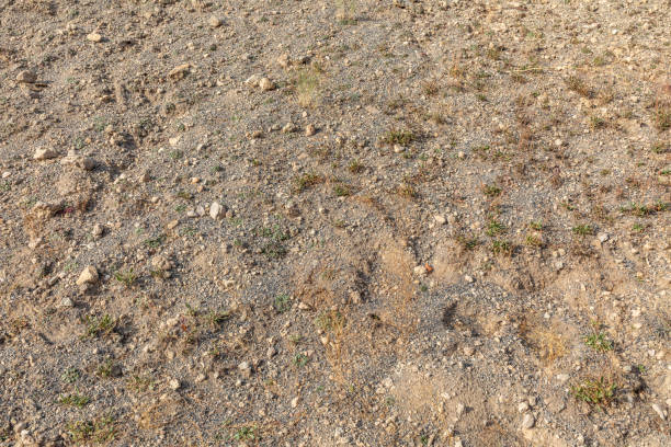 istock Bare Dirt Terrain in Yellowstone National Park 1289224227