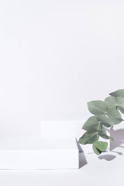 istock White background for cosmetic products. 1289225392