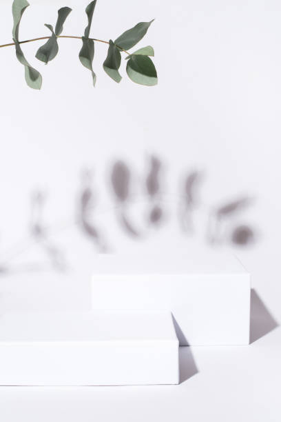 istock White background for cosmetic products. 1289225393