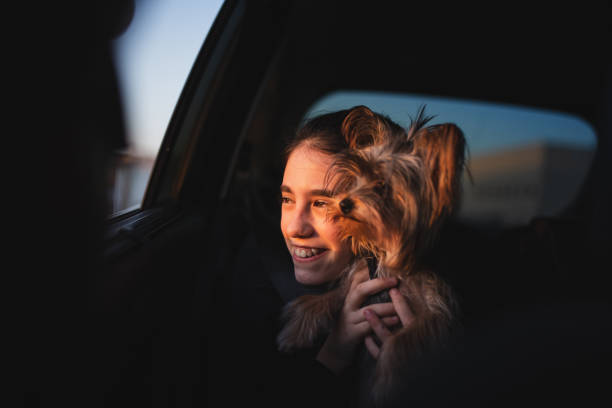 istock Happy girl and her Yorkshire Terrier. 1289226145