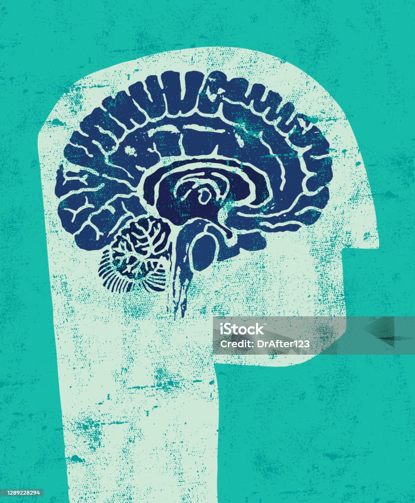 Head With Brain Cross Section Grunge illustration composed from hand drawn elements showing head and cross section of a brain. Poster stock vector